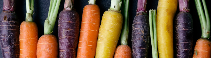 cenouras coloridas naturais